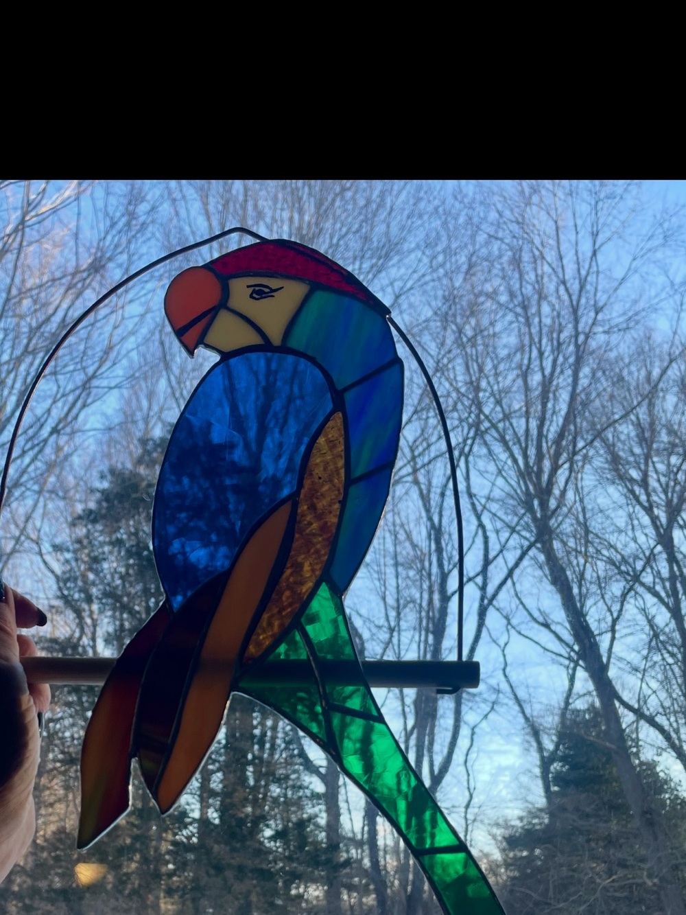 Hand Crafted Blue and Green Parrot Stained Glass Suncatcher
